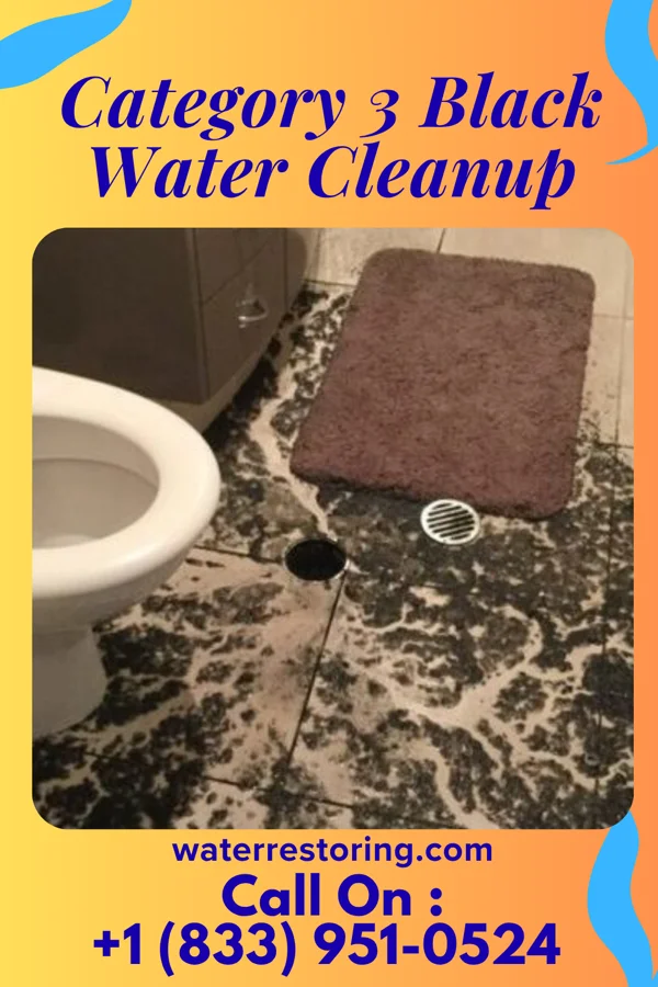 Category 3 Black Water Cleanup in Drexel, MO