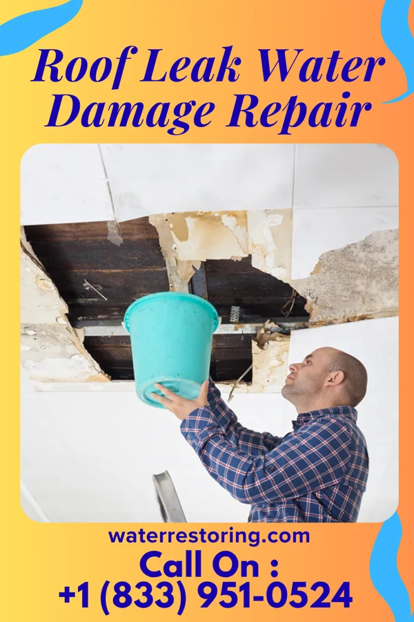 Roof Leak Water Damage Repair in Drexel, MO