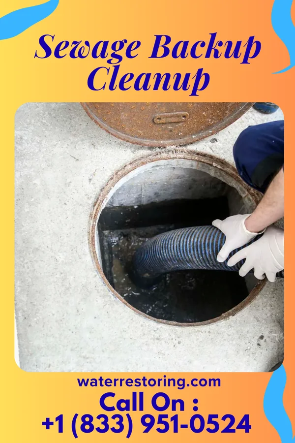 Sewage Backup Cleanup in Drexel, MO